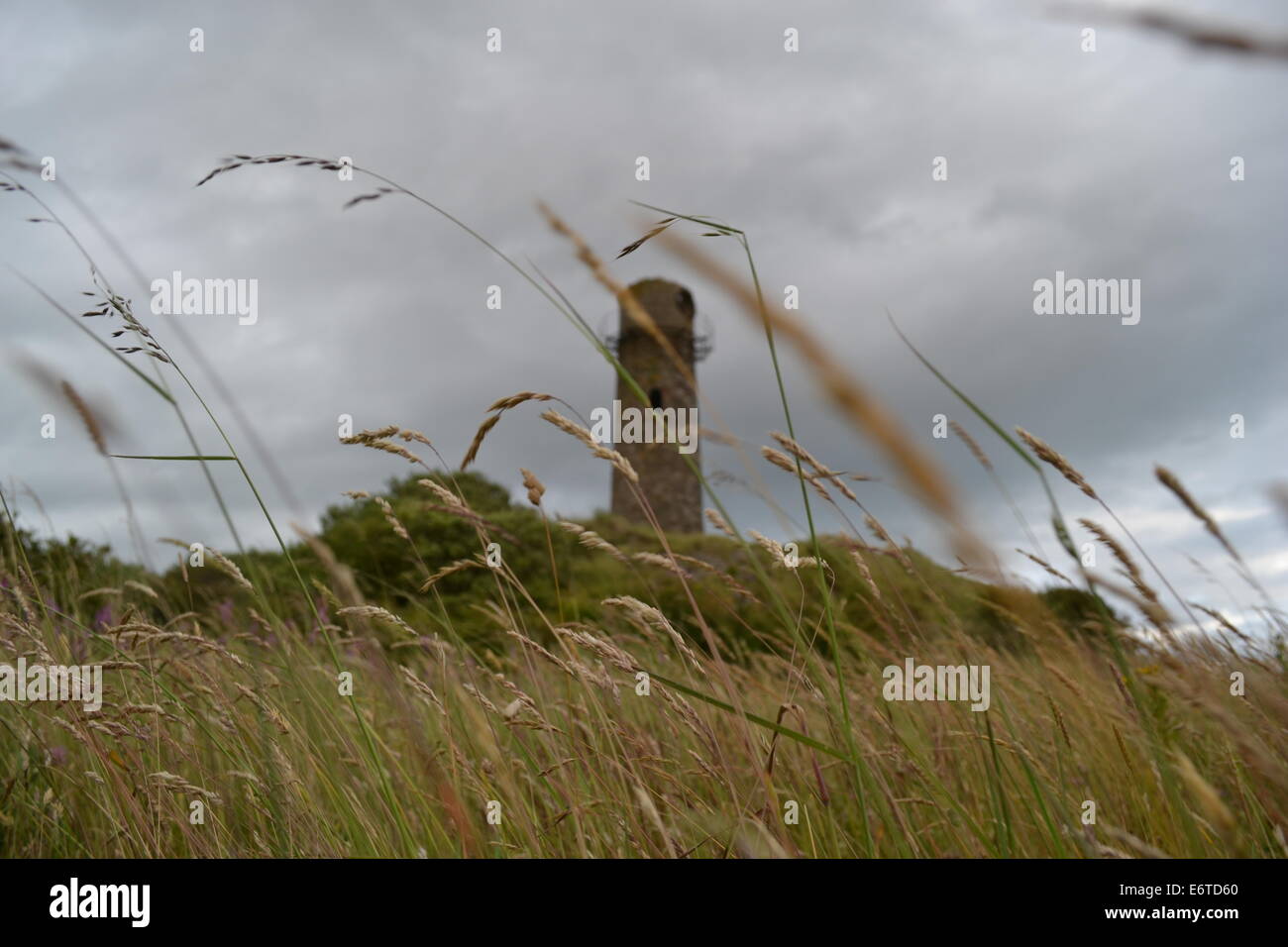 Einen alten verlassenen Leuchtturm auf einem Naturschutzgebiet Stockfoto