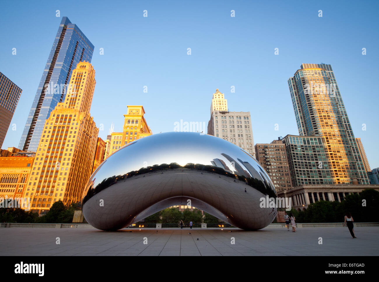 Cloud Gate (The Bean), eine öffentliche Skulptur von Anish Kapoor, im frühen Morgenlicht.  Millennium Park, Chicago, Illinois. Stockfoto