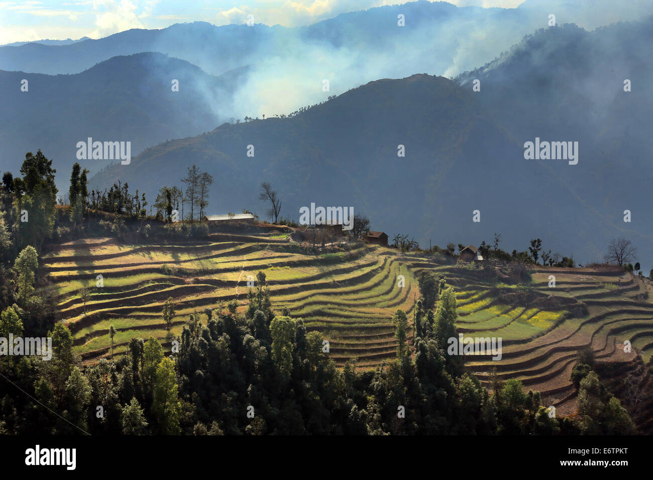 Terrassierte Reisfelder in der Nähe von Kathmandu, Nepal, Asien Stockfoto