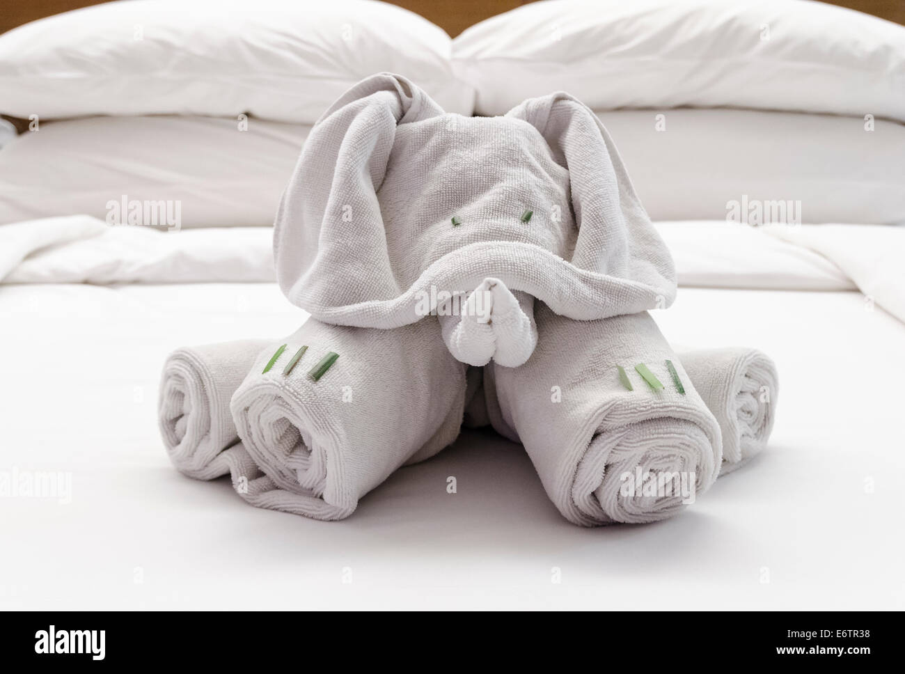 Elephant towel -Fotos und -Bildmaterial in hoher Auflösung – Alamy