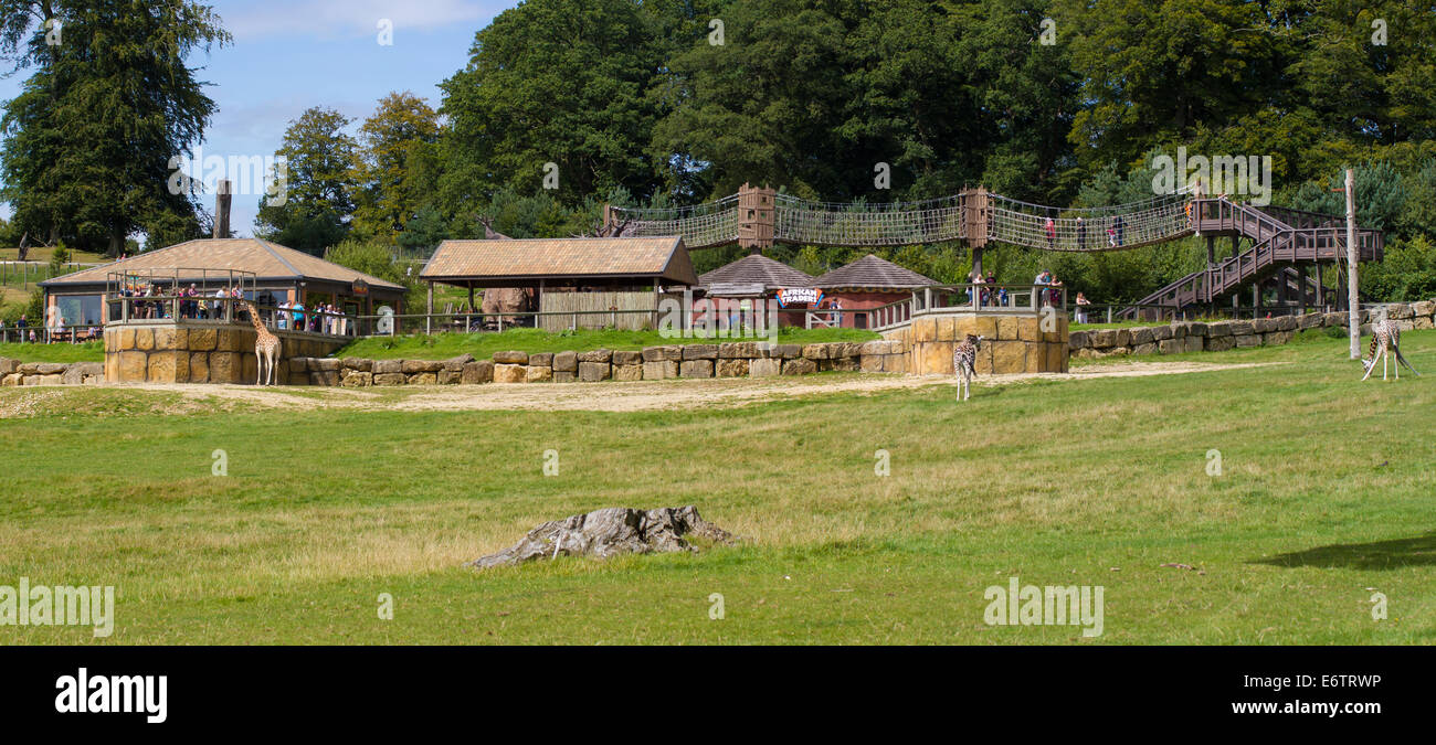 African Village am Longleat Safari Park Stockfoto