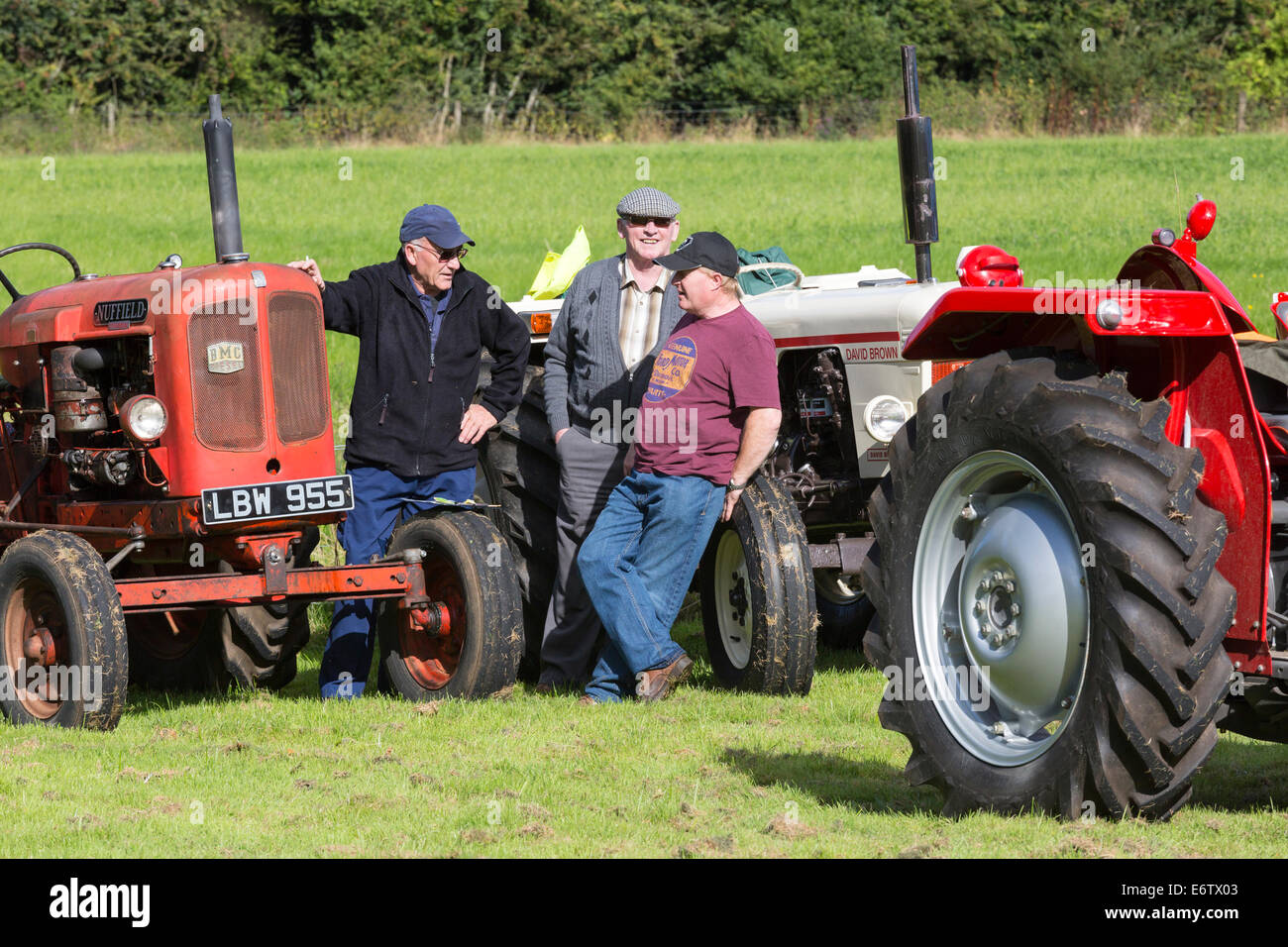 East Kilbride, Schottland. 31. August 2014. Die jährliche Country Fair veranstaltet von der National ländliche Museum of Scotland in East Kilbride nahe Glasgow, Schottland über 5000 Besucher nahmen die Shows, Displays und Exponate, unterstützt durch die warmen sonnigen Sommerwetter genossen. Attraktionen inklusive Schäferhund Studien, herding Ente Displays und Frettchen Rennsport sowie statische zeigt Oldtimer Traktoren und Landmaschinen. Bildnachweis: Findlay/Alamy Live-Nachrichten Stockfoto