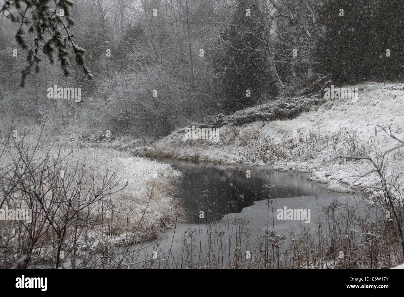 Verschneite creek Stockfoto