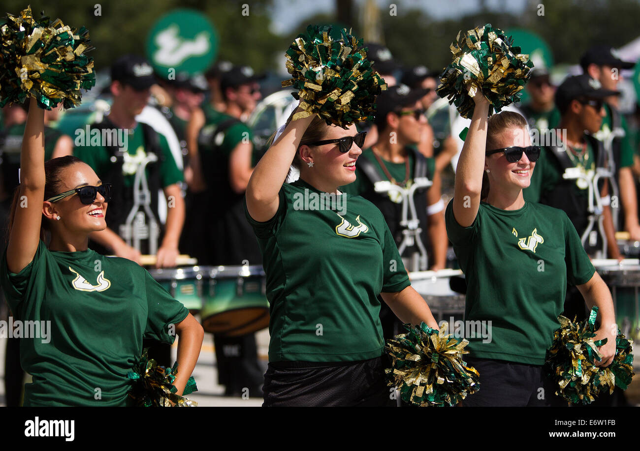 Florida, USA. 30. Aug, schütteln 2014.The University of South Florida Tänzer und Cheerleader-Team der Pons-Pons zur Musik von der Blaskapelle im Raymond James Stadium vor den Bullen zu Western Carolina University in Tampa, Florida am Samstag, 30. August 2014 übernehmen. Bildnachweis: Octavio Jones/Tampa Bay Times / ZUMA Draht/Alamy Live News Stockfoto