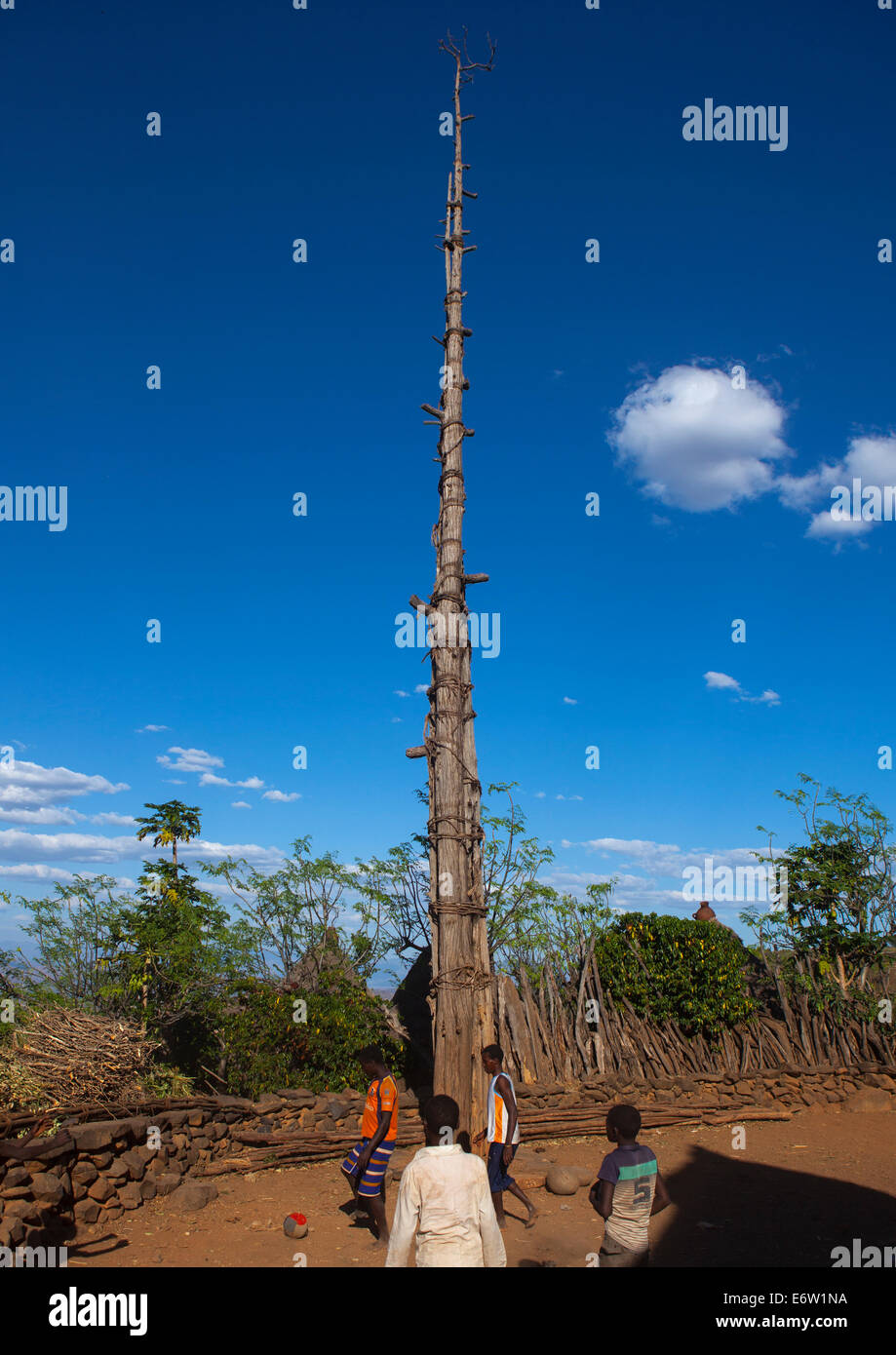 Generation-Pole auf dem Zeremoniell Platz, errichtet während der Initiation Zeremonien Konso Dorf, Südäthiopien Stockfoto