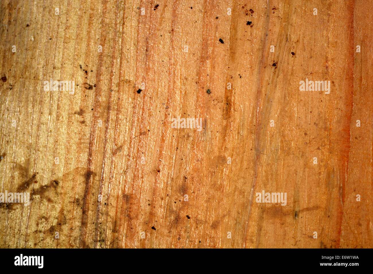 Grunge Holz Textur als Hintergrund verwendet. Stockfoto