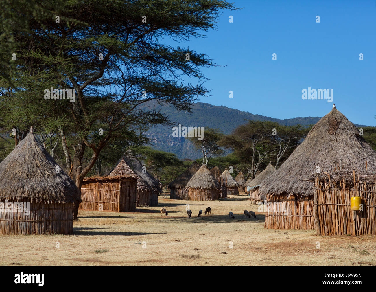 Traditionelles Dorf In Borana Stamm, Ola Alakadjilo, Äthiopien Stockfoto
