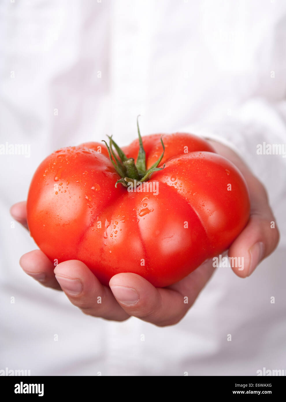 Hände halten Tomate Stockfoto