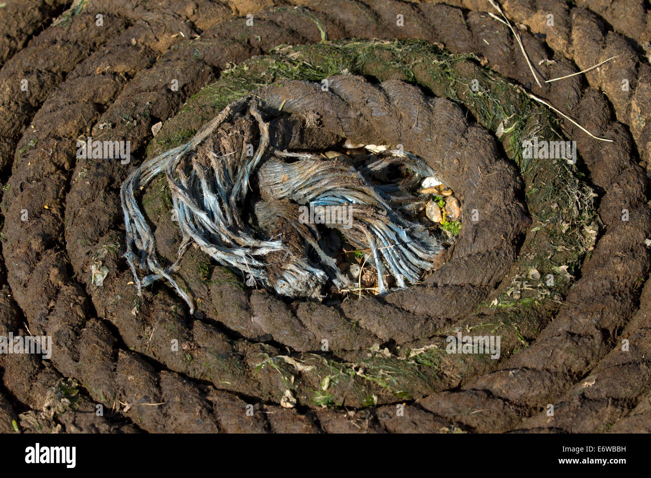 Eine aufgerollte Seil auf Blakeney Punkt sitzen. Stockfoto