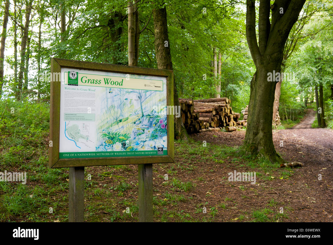 Info-Tafel in Grass Wald nahe Grassington, Wharfedale, Yorkshire Dales National Park, North Yorkshire, England UK Stockfoto