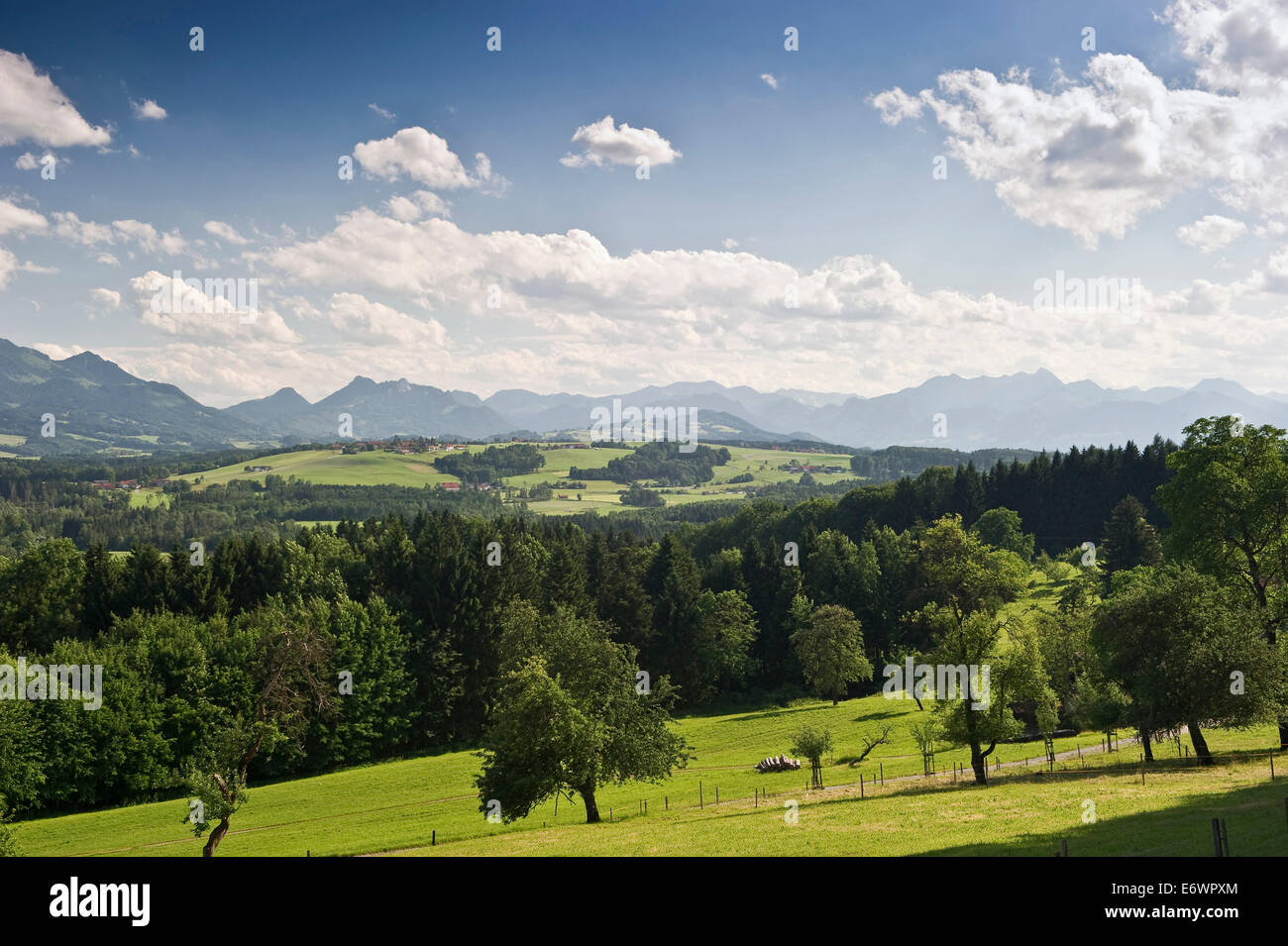 Chiemgauer Alpen von Ratzinger Hoehe, Chiemgau, Bayern, Deutschland Stockfoto