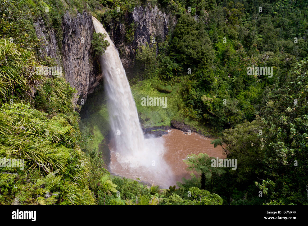 Bridal Veil Falls mit üppiger Vegetation, touristische Attraktion in der Nähe von Raglan Strand, Waikato, Nordinsel, Neuseeland Stockfoto