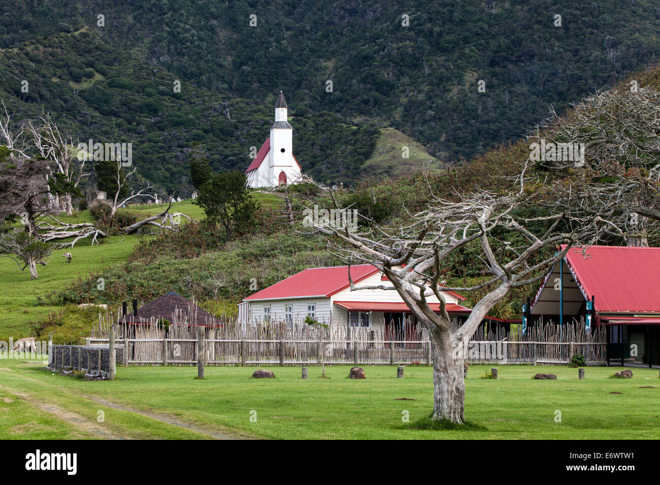 St. Gabriel, weiße Maori Kirche in den abgelegenen ländlichen Gegend von North Hokianga, Marae, Whangape Hafen, Northland, Norden Stockfoto