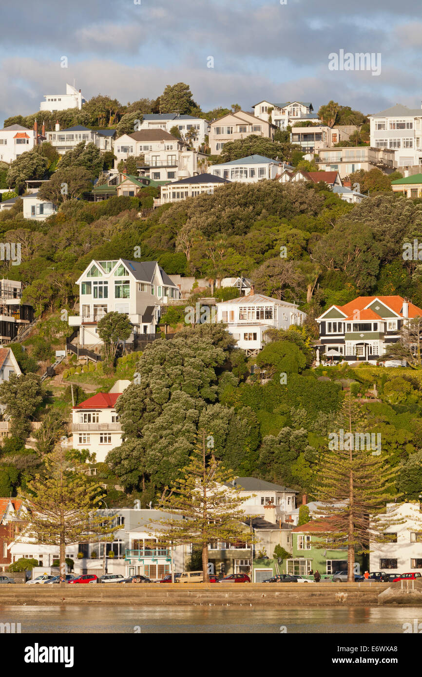 Historische Holzhäuser am Wasser, Wellington, Nordinsel, Neuseeland Stockfoto