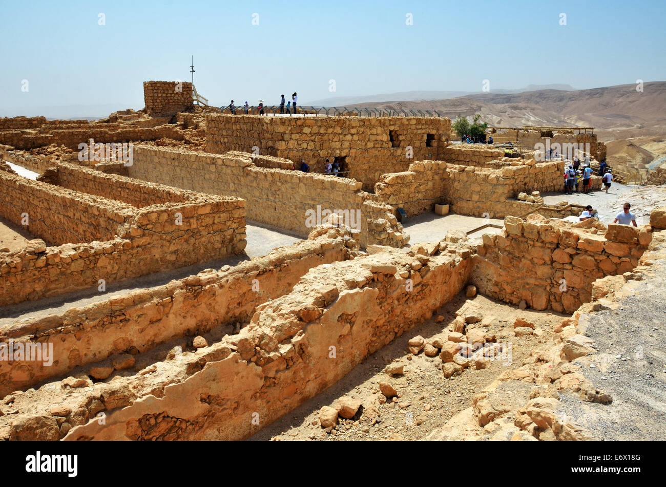 image not described image