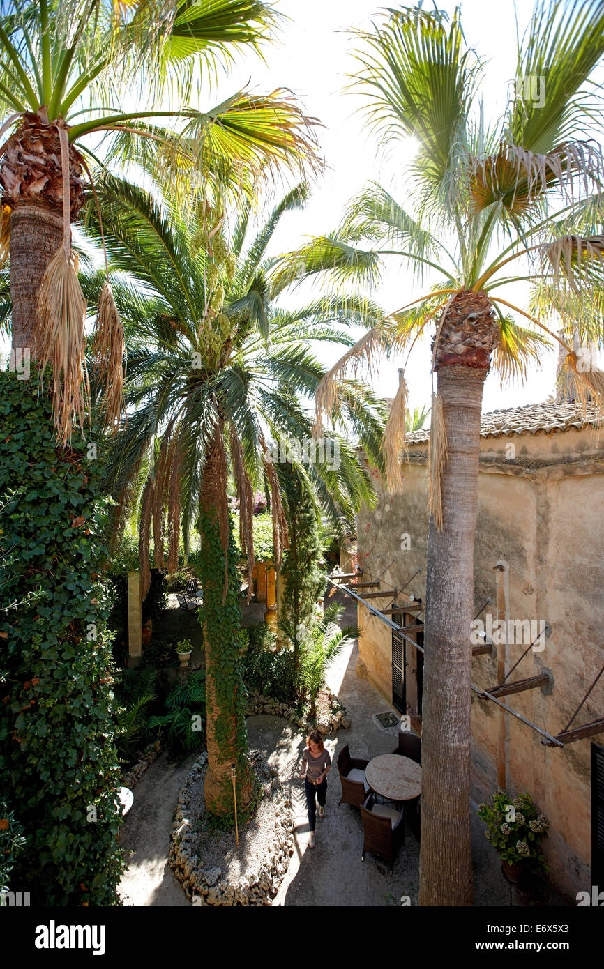 Innenhof mit Palmen, Finca Raims, umgebaut Weinberg und Land Hotel, Algaida, Mallorca, Balearen, Spanien Stockfoto