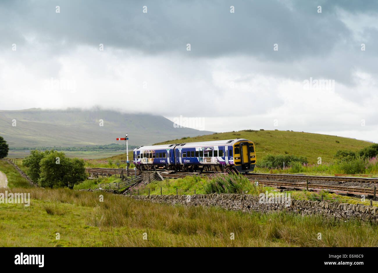 Zug auf die Settle Carlisle Linie mit Ingleborough über Stockfoto