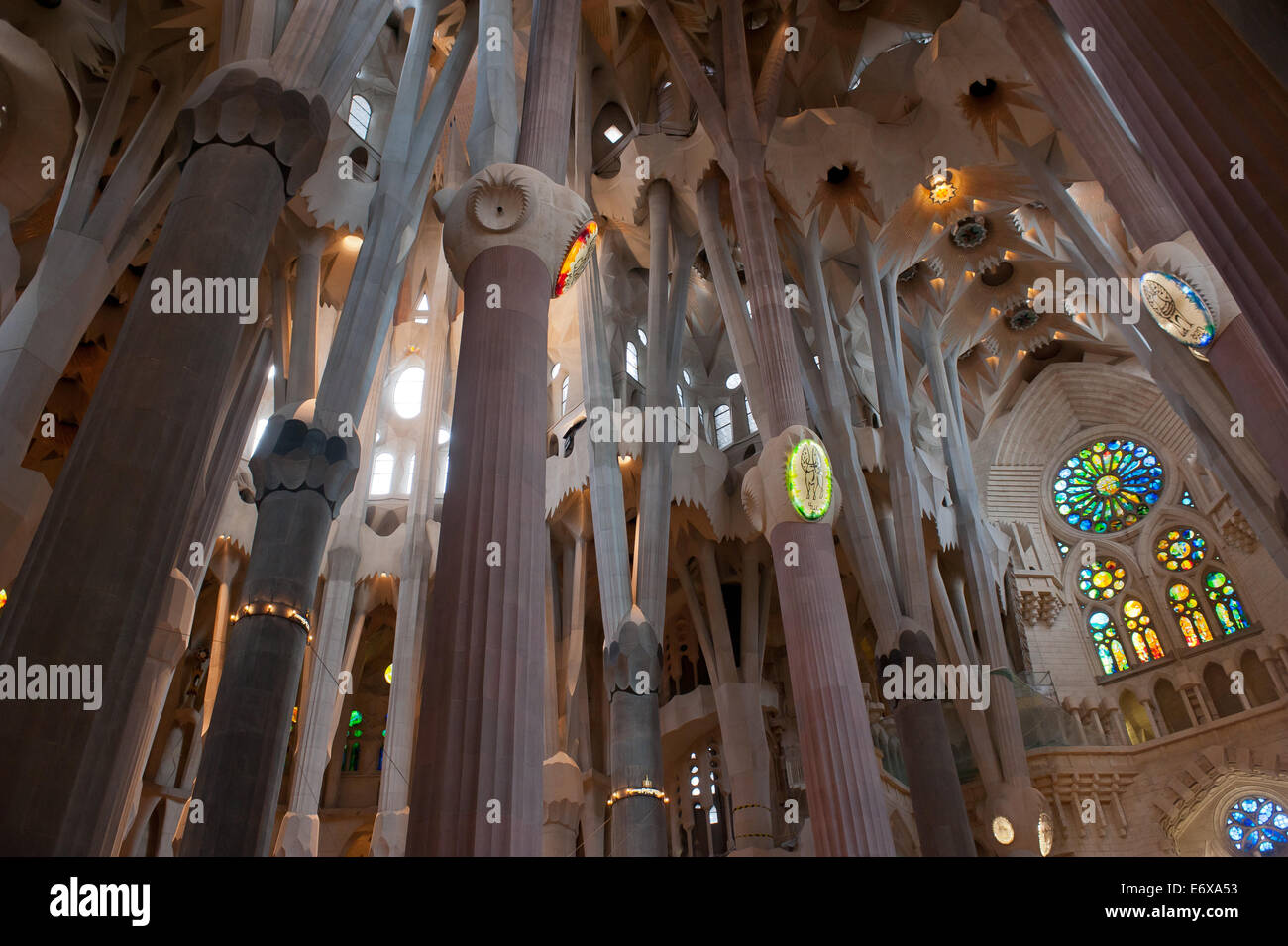 La Sagrada Familia Interieur Stockfoto
