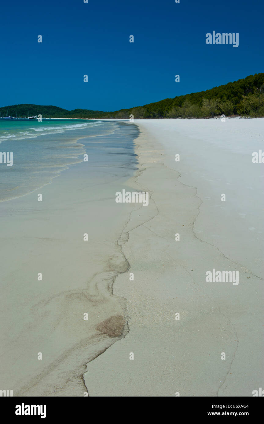 Whitehaven Beach auf Whitsunday Inseln, Queensland, Australien Stockfoto