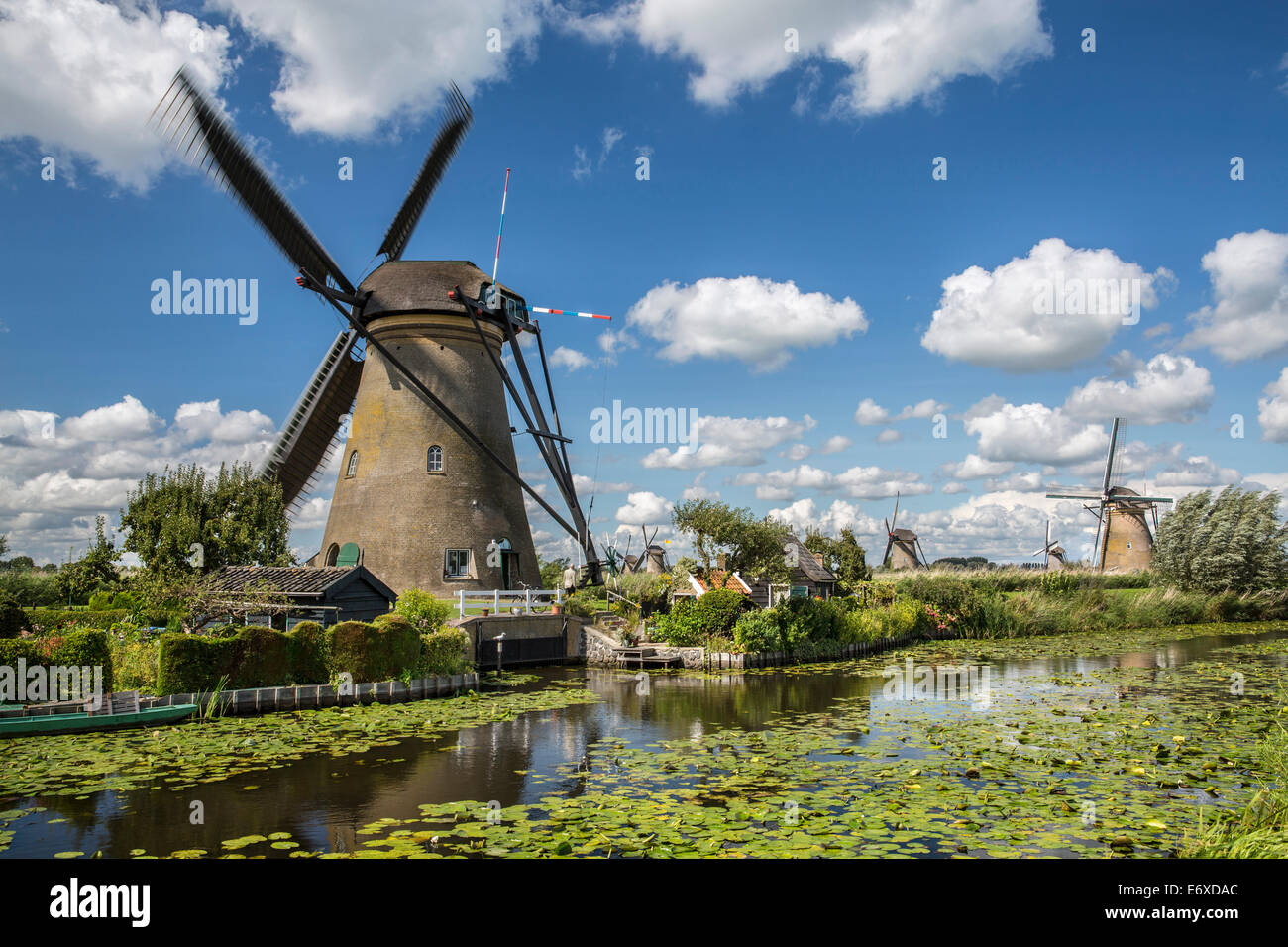 Niederlande, Kinderdijk, Windmühlen im Polder Alblasserwaard, Unesco Weltkulturerbe Stockfoto