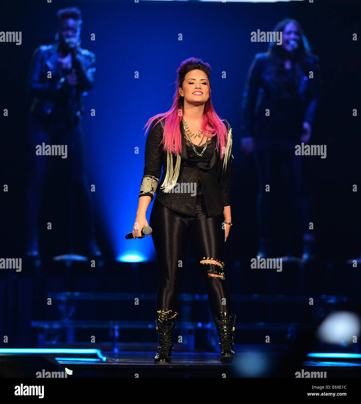 Demi Lovato die live in Konzert im BB und T-Center mit Sunrise: Demi Lovato wo: Sunrise, Florida, USA bei: 25. Februar 2014 Stockfoto