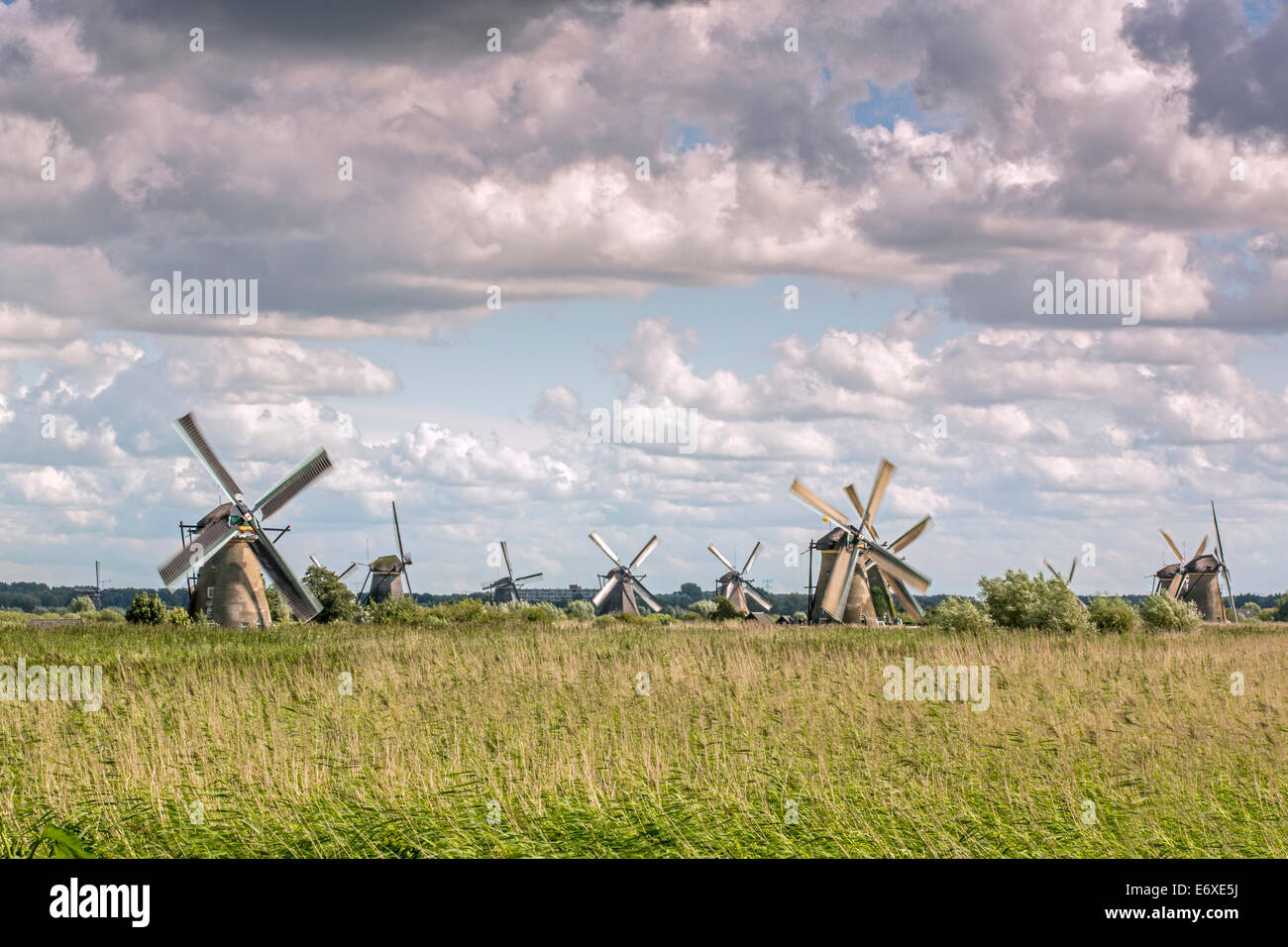Niederlande, Kinderdijk, Windmühlen im Polder Alblasserwaard, Unesco Weltkulturerbe Stockfoto