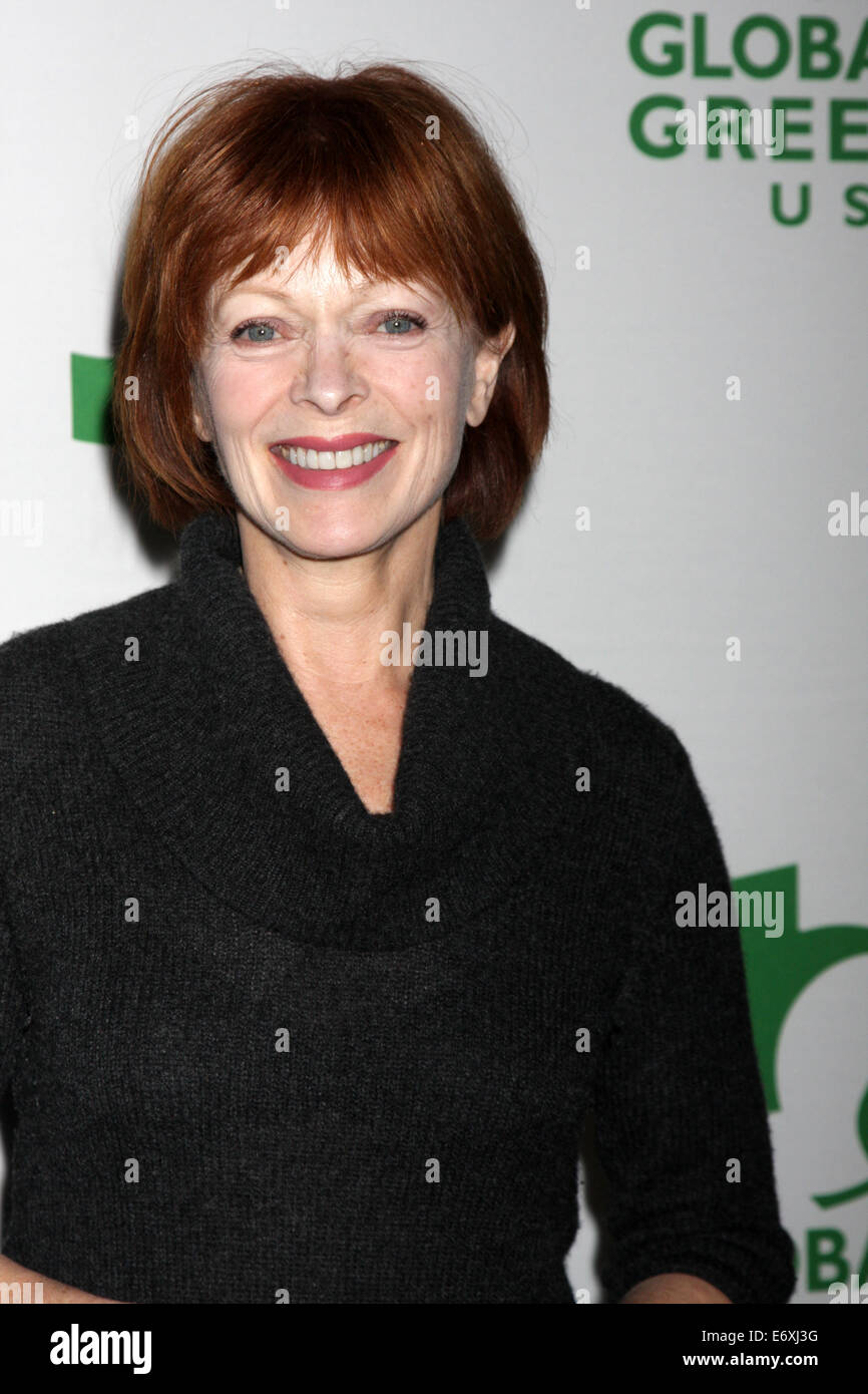 Global Green USA Pre-Oscar-Event mit: Frances Fisher wo: Los Angeles, California, Vereinigte Staaten von Amerika bei: 27. Februar 2014 Stockfoto