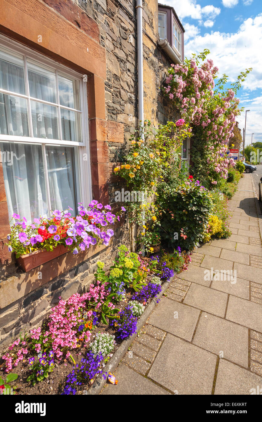 Schöne Blumen und alten Fenster im schottischen Dorf Stockfoto