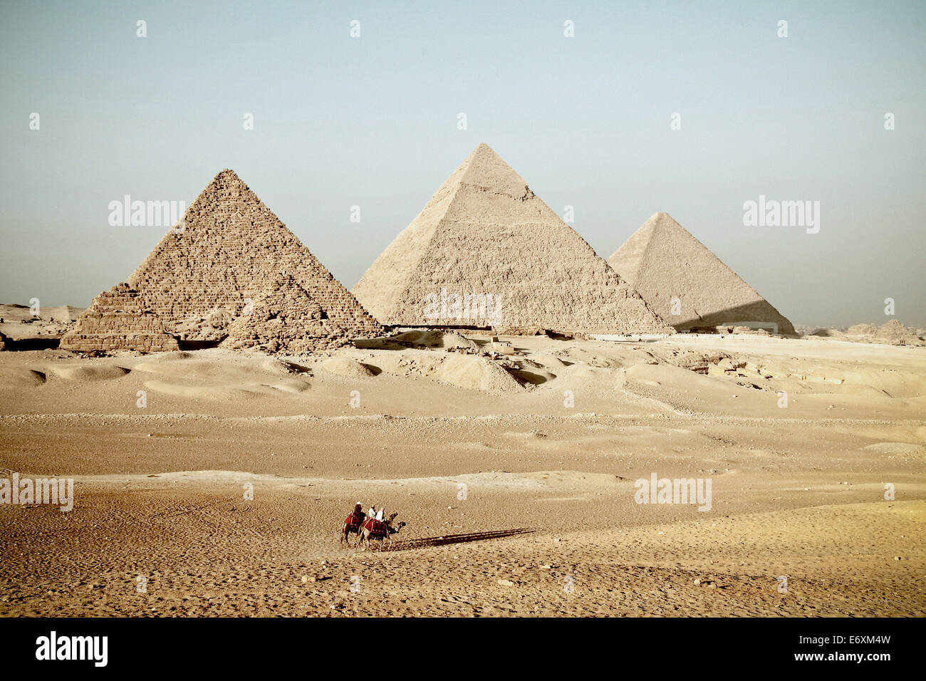 Drei Kamele vor den Pyramiden von Gizeh, Ägypten, Afrika Stockfoto