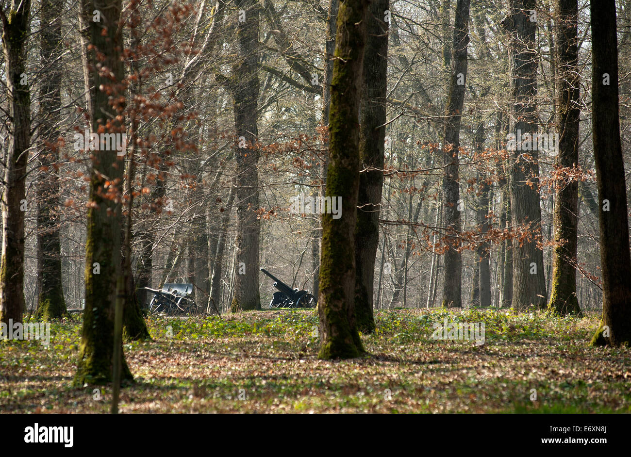 Schlacht der Belleau Wood WW1, nördlich von Chateau-Thierry nur 60 Meilen von Paris, Frankreich. März 2014 Kanonen erobert deutsche in der Tschechischen Republik Stockfoto