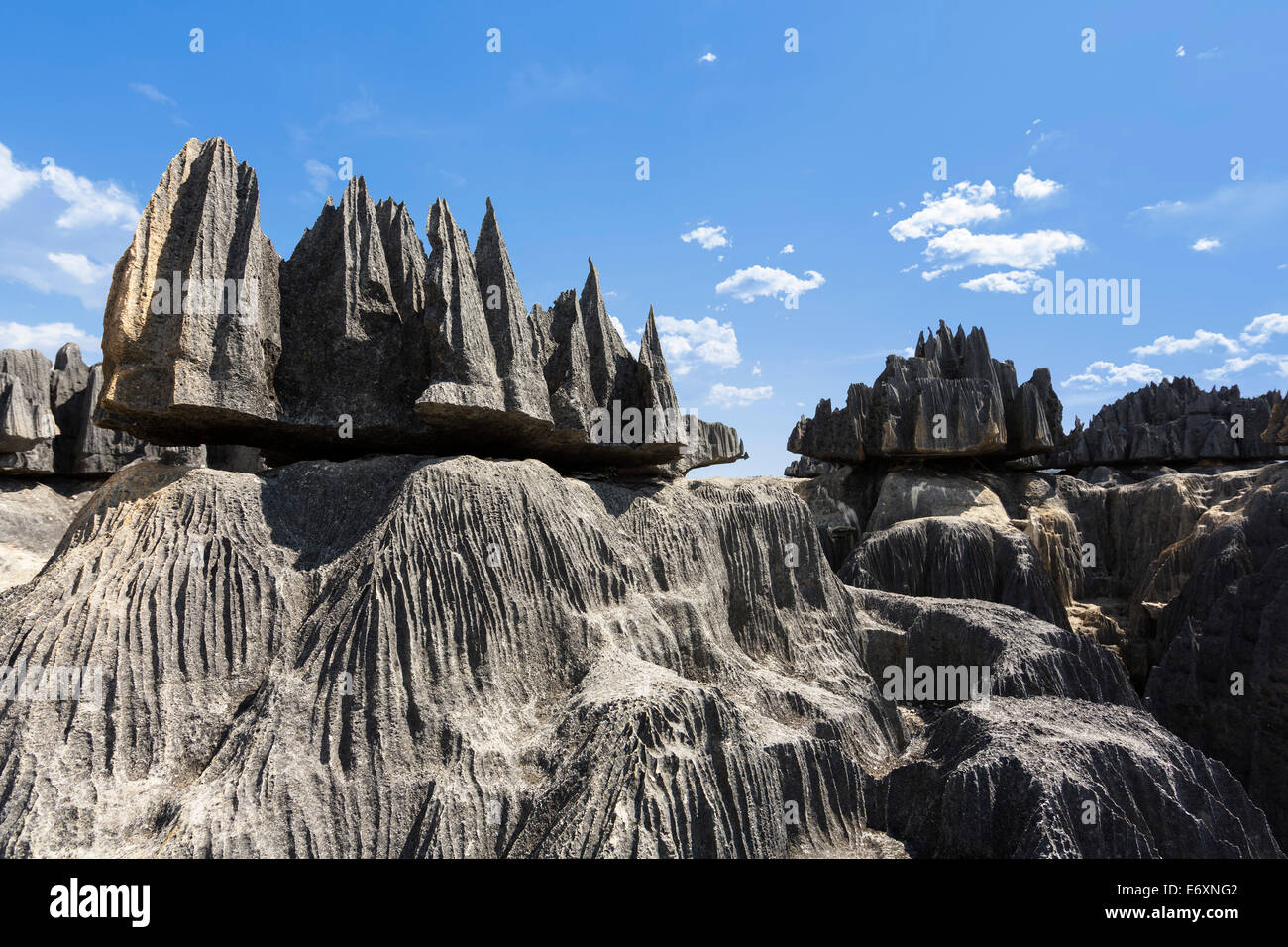 Tsingy de Bemaraha Nationalpark, Mahajanga, Madagaskar, Afrika Stockfoto