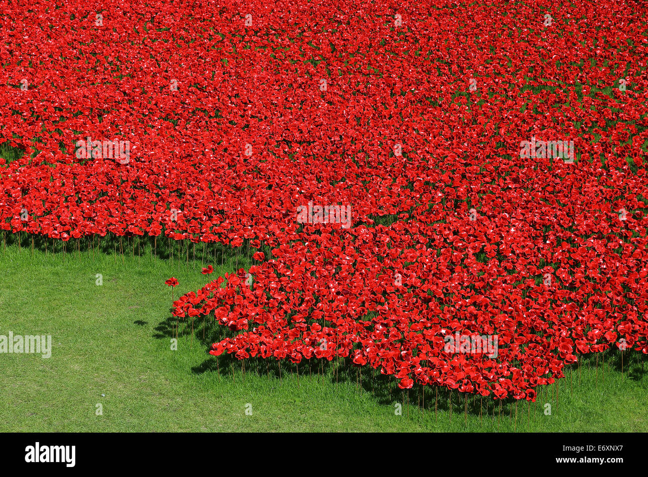 Tower von London Graben dekoriert mit Mohnblumen im Gedenken an den 100. Jahrestag des ersten Weltkriegs Stockfoto