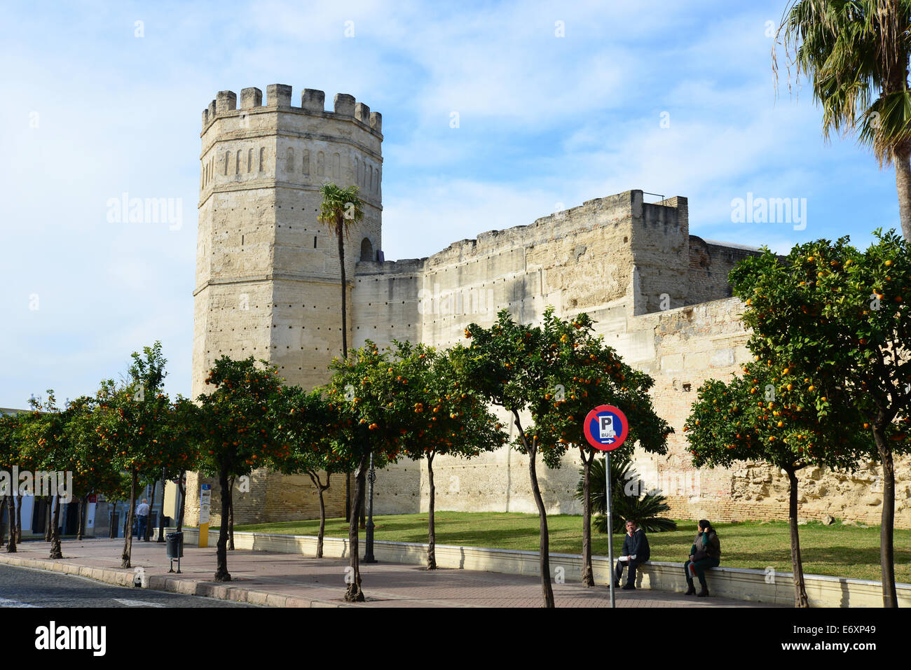 Alcázar de Jerez De La Frontera, Jerez De La Frontera, Provinz Cádiz, Andalusien, Königreich Spanien Stockfoto