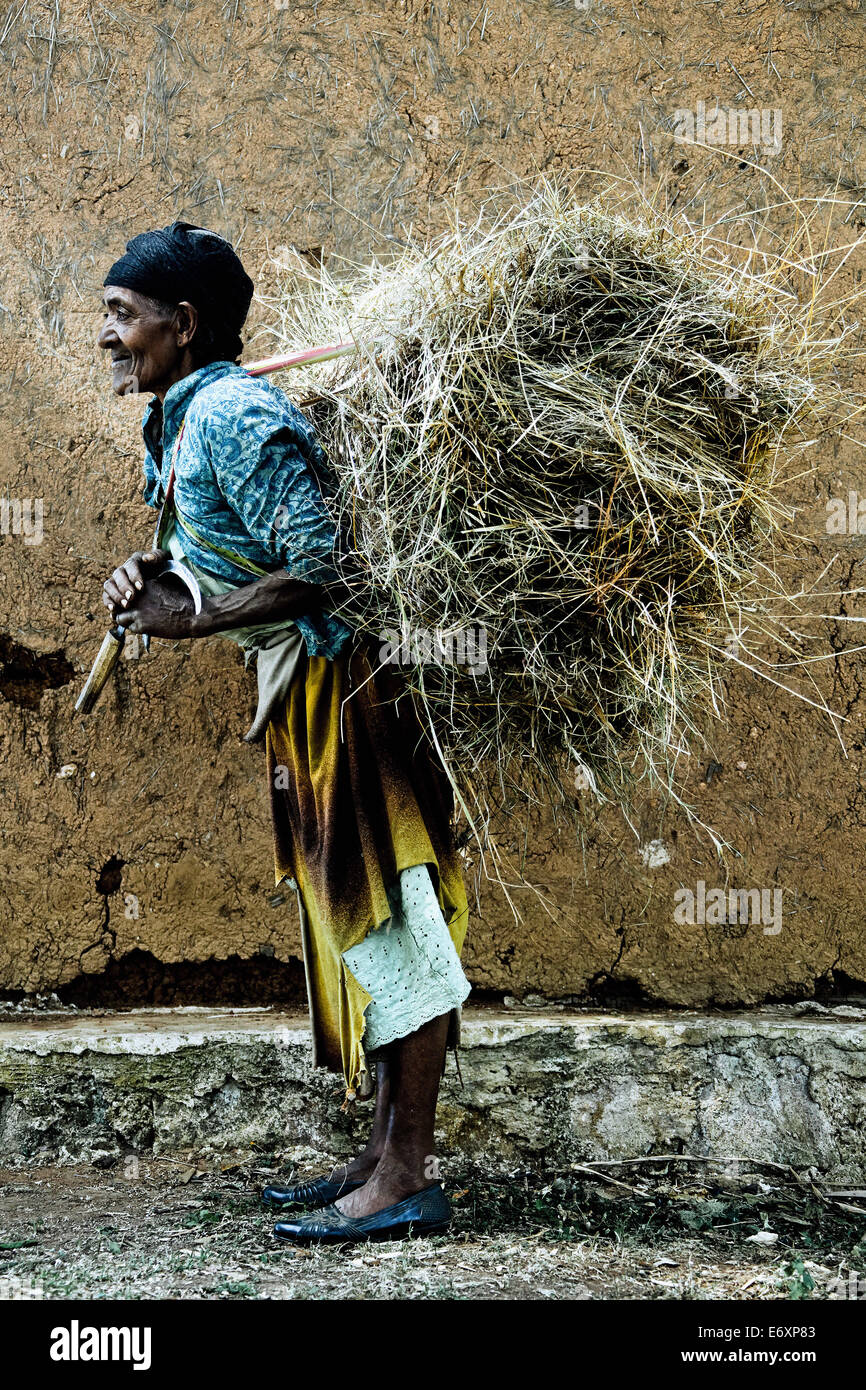 Alte Frau vom Stamm Dorze trägt ein Bündel von Heu, Süd-Äthiopien, Afrika Stockfoto