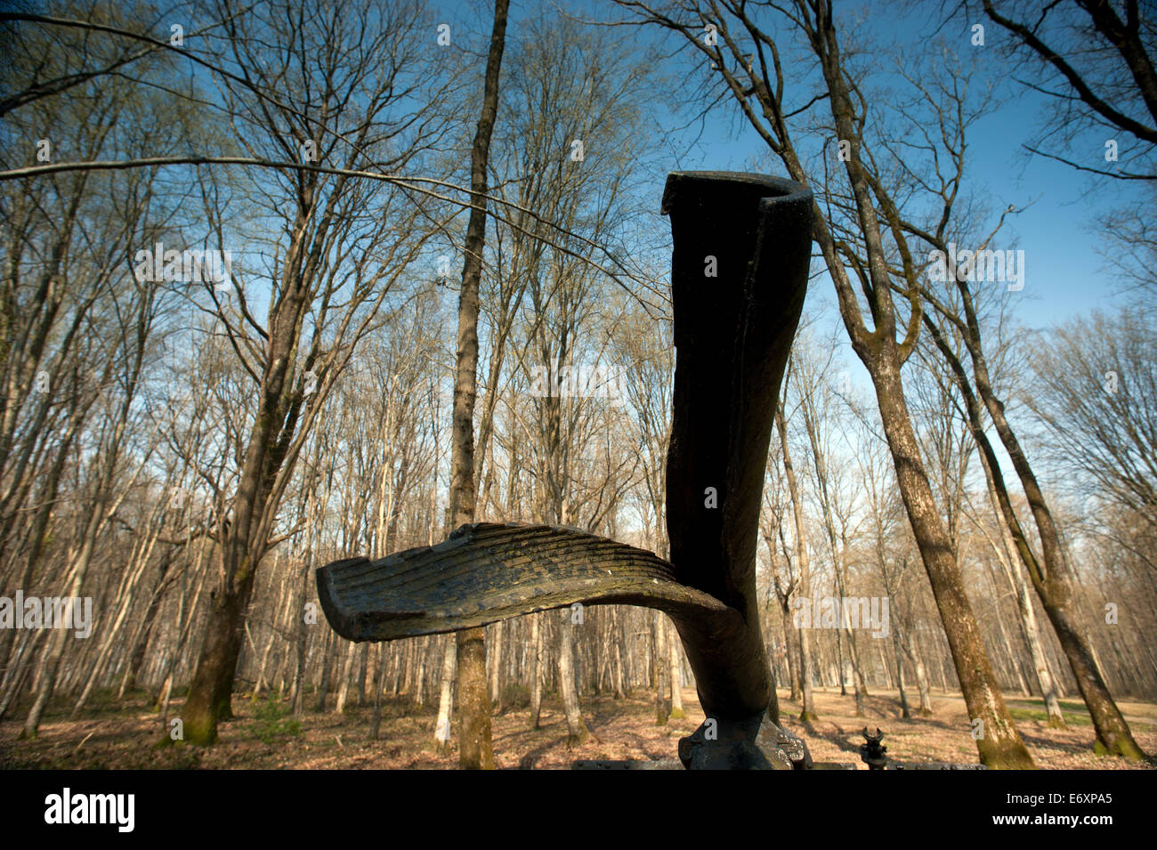 Schlacht Im Wald Von Belleau Stockfotos und bilder Kaufen Alamy