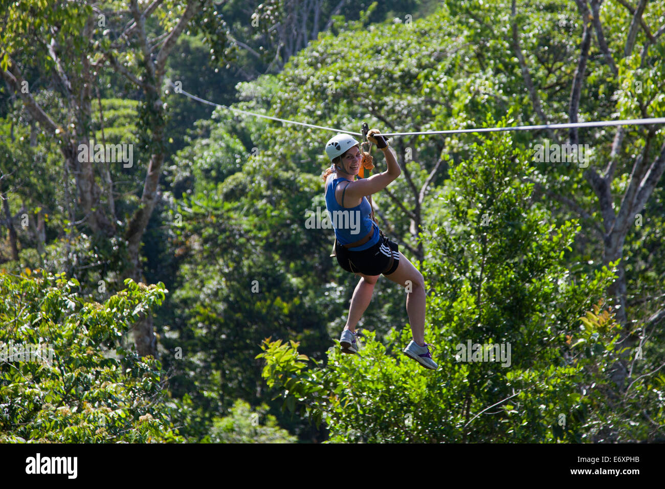 Celebrity Chef Sarah Wiener Ziplining durch einen Regenwald, Golfito, Puntarenas, Costa Rica Stockfoto