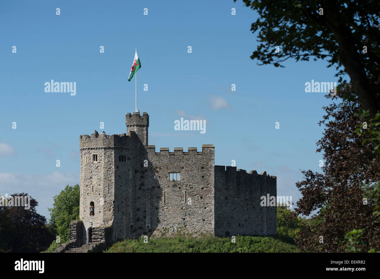 Cardiff, Wales. 31. August 2014. Cardiff Castle in Wales, wo der Präsident der Vereinigten Staaten Barrack Obama während des Nato-Gipfels in dieser Woche besuchen werden. Bildnachweis: Matthew Horwood/Alamy Live-Nachrichten Stockfoto