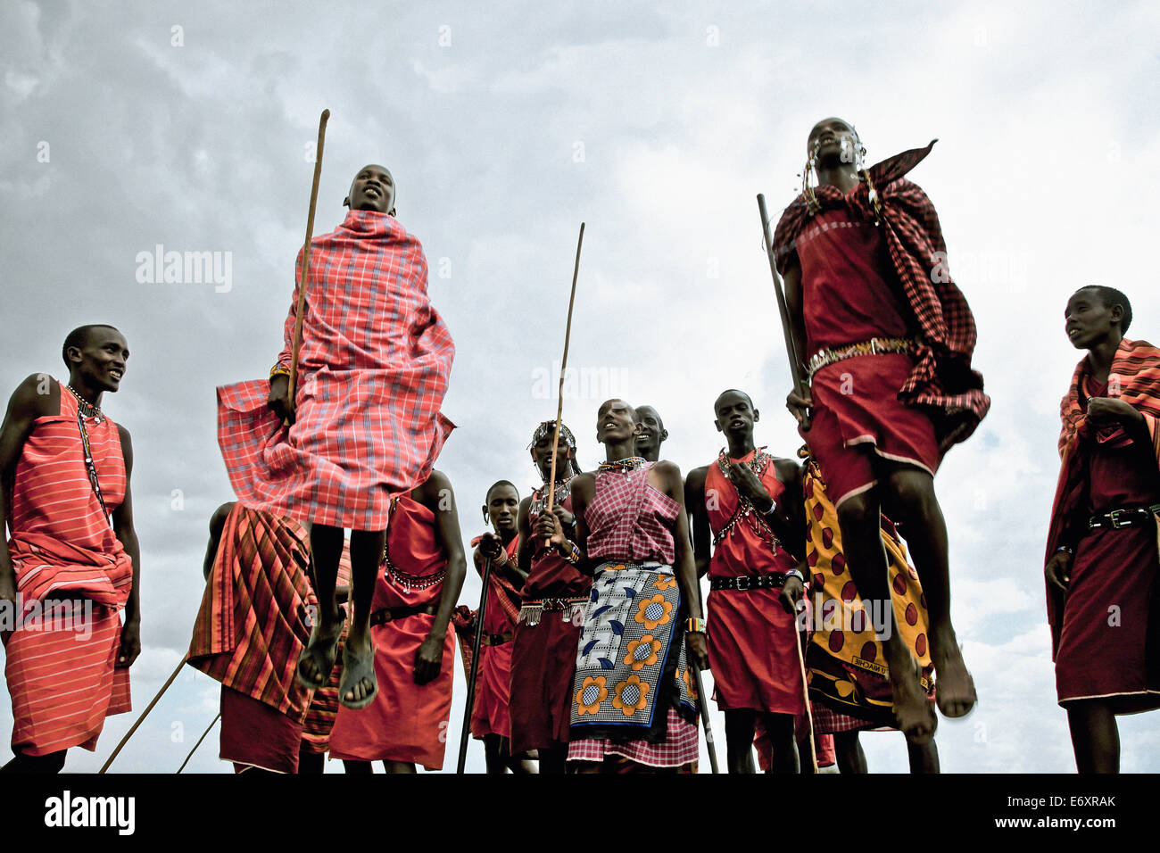 Junge Krieger vom Stamm Morani Massai tanzen Adumu, Kenia, Afrika Stockfoto