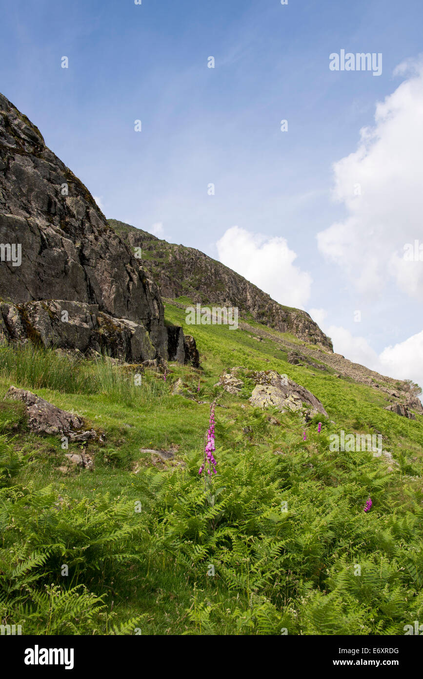 Eibe Barrow, tiefste, Nationalpark Lake District, Cumbria, England, UK. Stockfoto