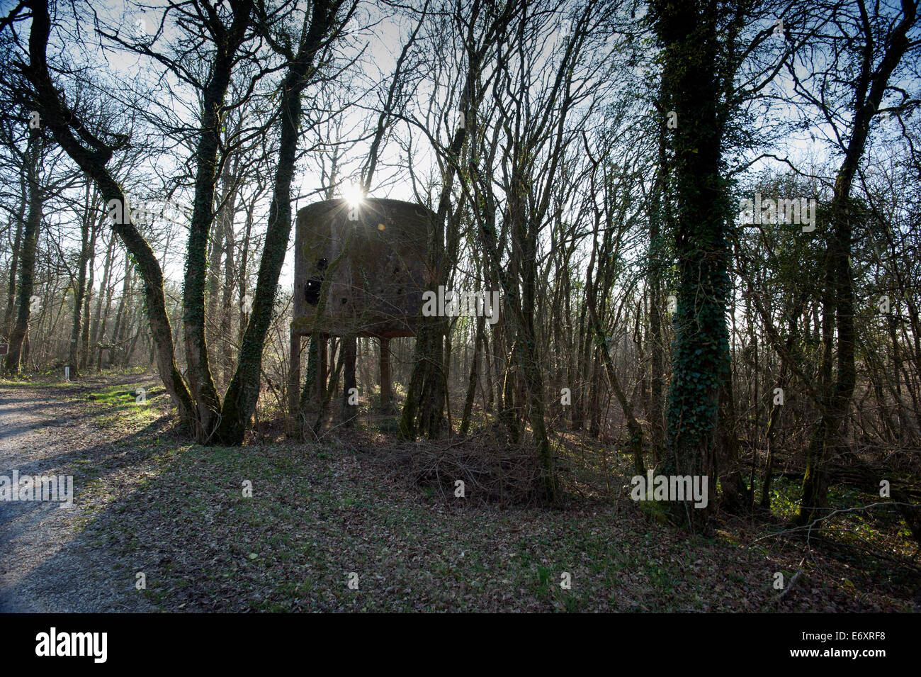 Verdun WW1 Battlefield Site, Verdun-Sur-Meuse, Frankreich. März 2014 Wasserturm mit Shell und Kugel Löcher am Rand des V Stockfoto