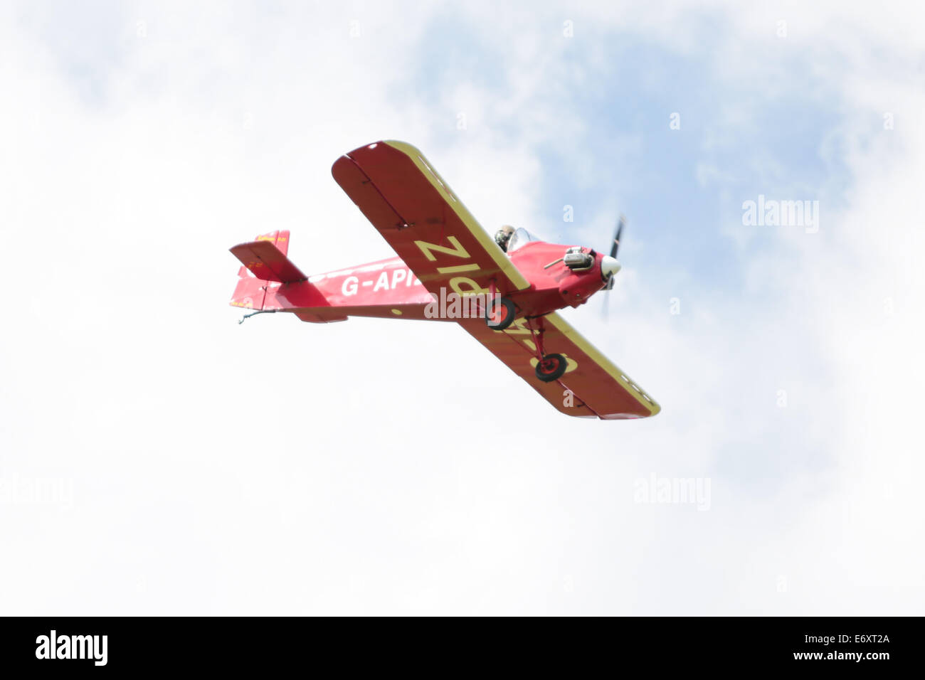 The Tiger Club Turbulent Team - Druine D31 Turbulent x 4 Performing Aerobatic Show auf der Shoreham Airshow 2014, Shoreham Airport, East Sussex, Großbritannien Stockfoto