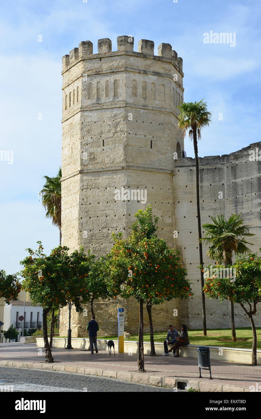 Alcázar von Jerez in Jerez De La Frontera, Provinz Cádiz, Andalusien, Königreich von Spanien Stockfoto
