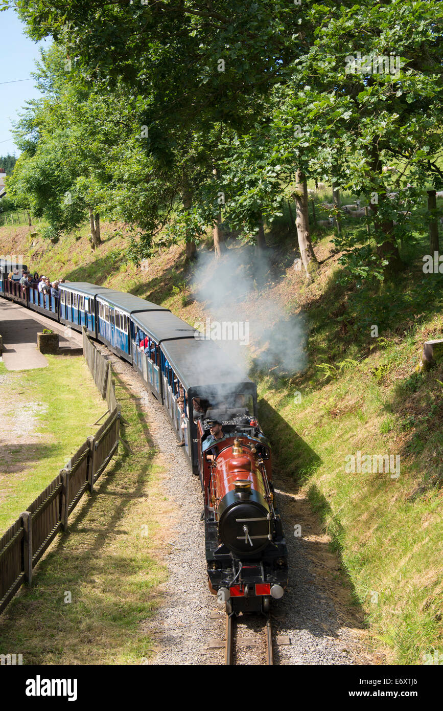 Ravenglass & Eskdale Dampfzug "Ratty" auf der Durchreise The Green Station, Eskdale Green, Cumbria, England, UK. Stockfoto