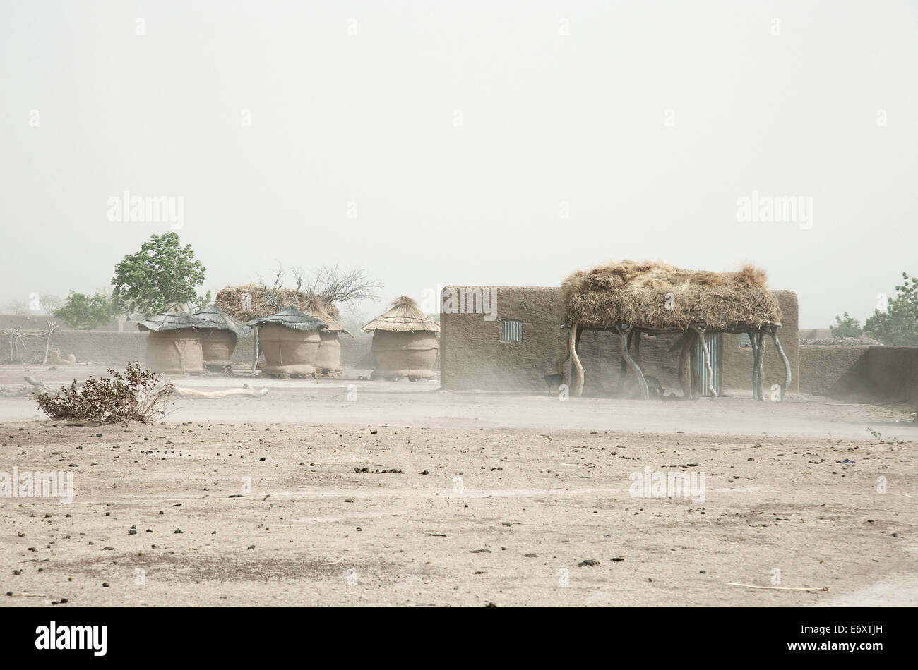 Sandsturm vorbei, ein Dorf, Dogon-Land, Region Mopti, Mali Stockfoto