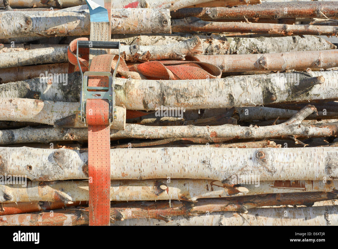 Schneiden von Holz als erneuerbare Ressource Energie mit industriellen Riemen Stockfoto