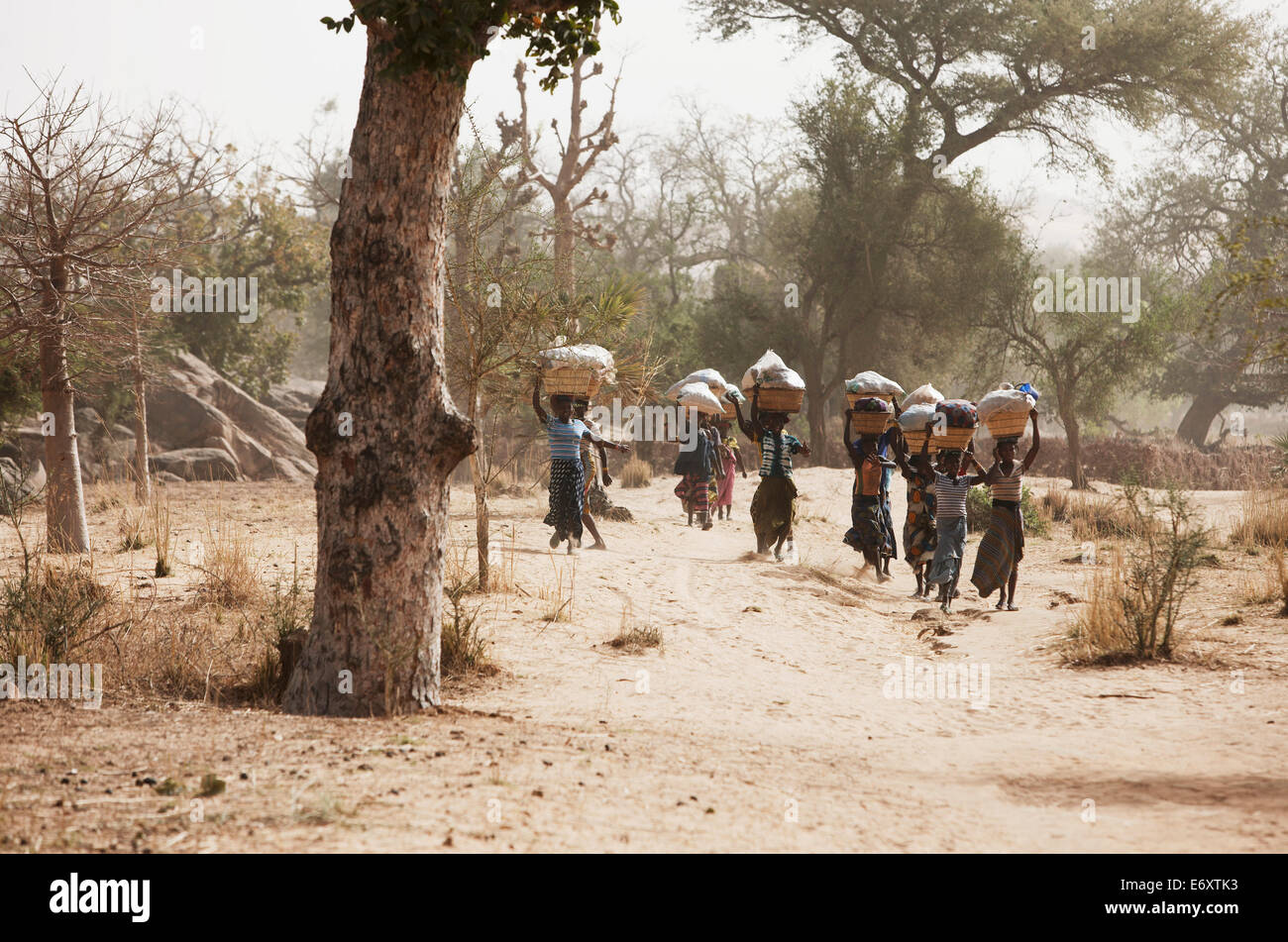 Frauen auf dem Weg zu einem Markt, Dogon-Land, Region Mopti, Mali Stockfoto