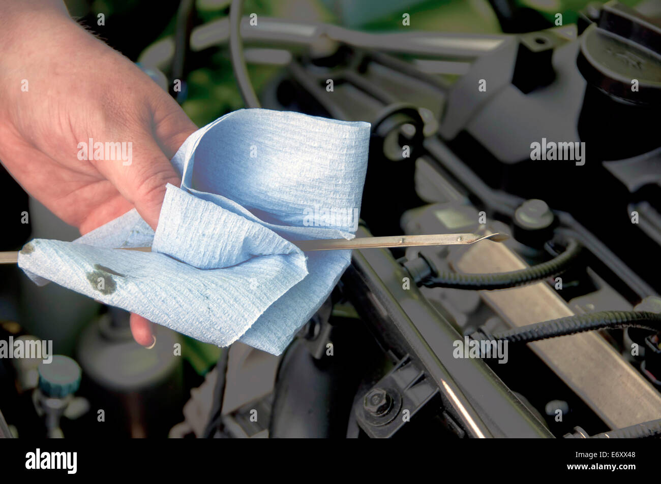 Zarte Frauenhand überprüfen den Ölstand im motor Motor. Stockfoto