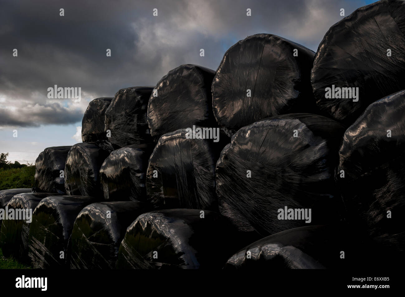 Glänzender schwarzer Kunststoff verpackt Heu Bails gegen einen stürmischen Himmel Stockfoto