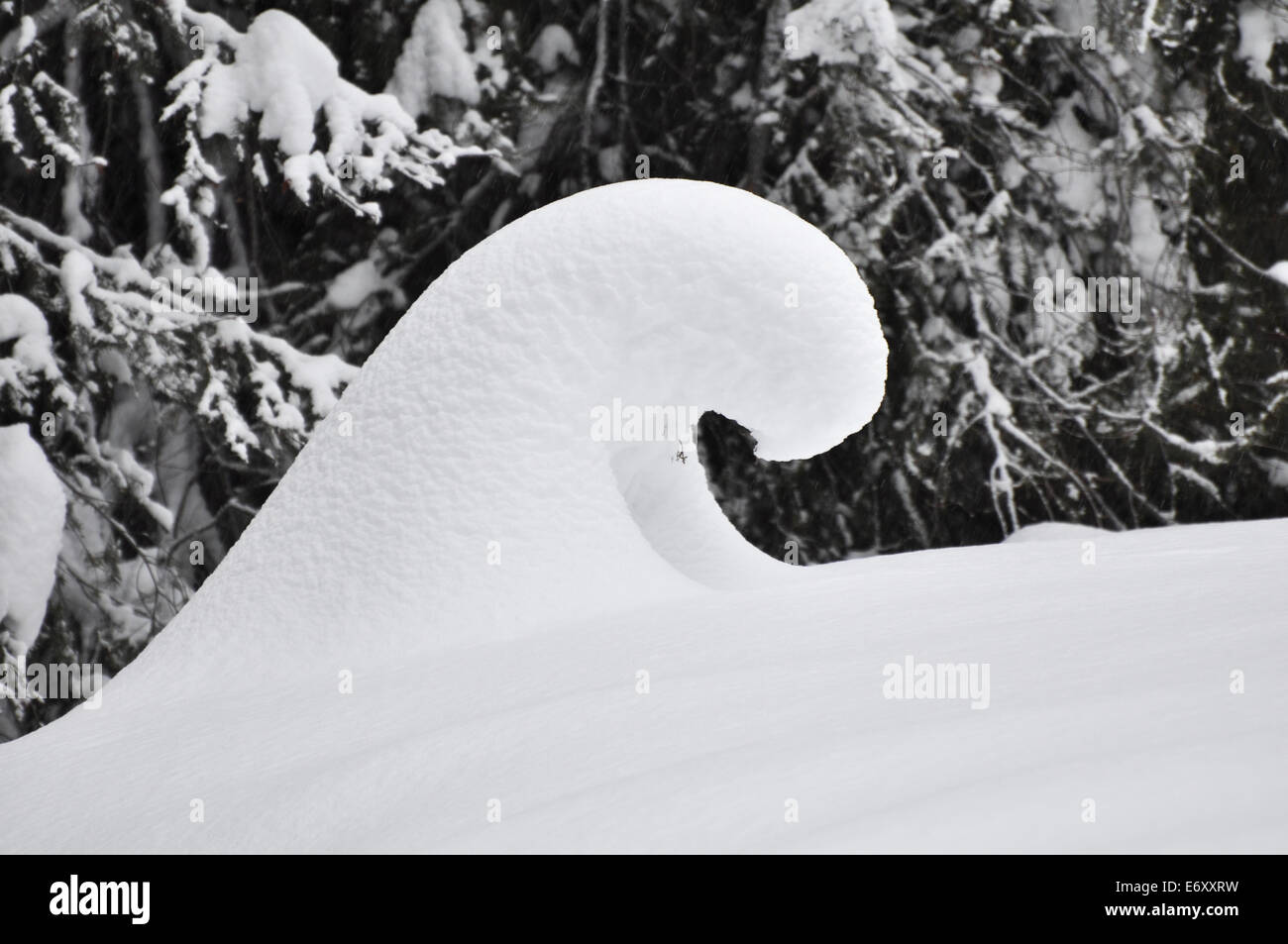 Weißer Schnee Welle. Stockfoto