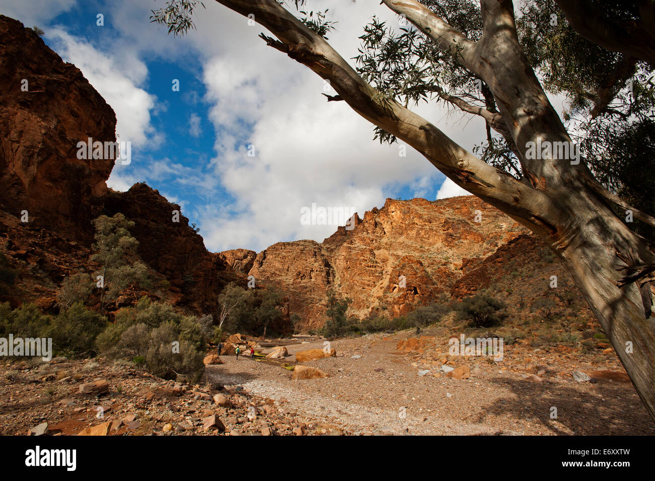 Kammern-Schlucht, Flinders Ranges, South Australia, Australien Stockfoto